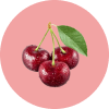 Amir Sour Cherry